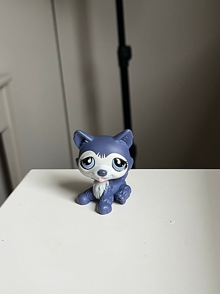 Littlest Pet Shop husky