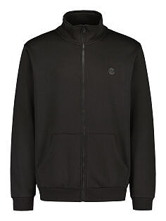 Swetari M - miesten collegetakki Replic S - XXL
