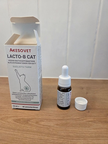 LACTO-B Cat