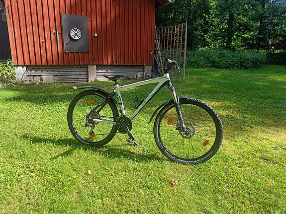 Insera alpina
