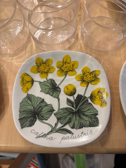 Arabia Botanica seinälautanen