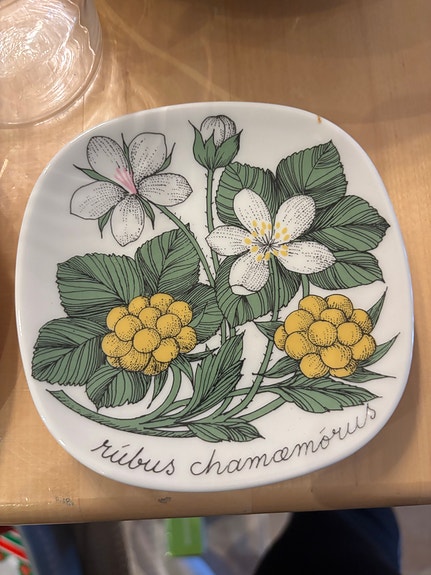 Arabia Botanica seinälautanen