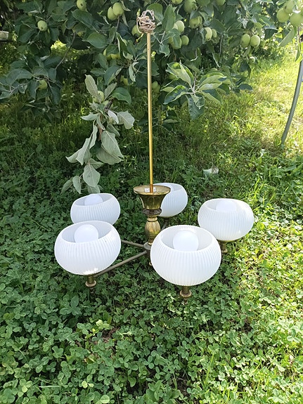 Vanha kattovalaisin