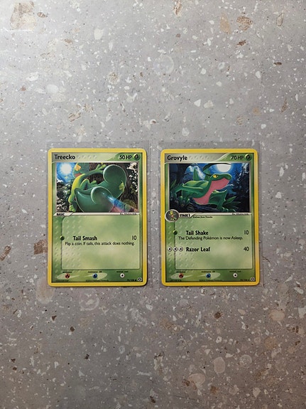 Treecko & Grovyle - Pokemon, EX Emerald