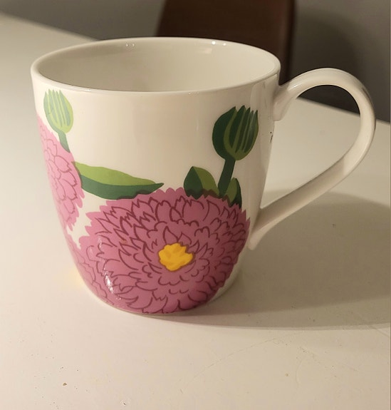 Primavera muki