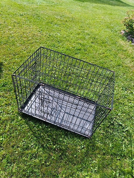 Koiran häkki