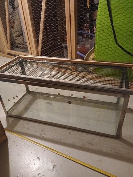 Iso terraario