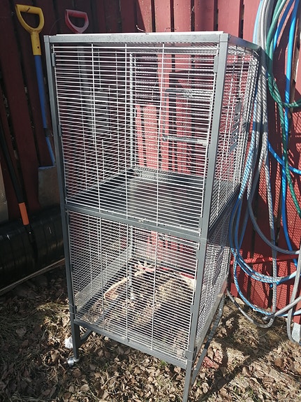 Iso lintuhäkki