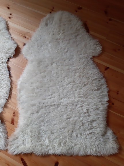 Lampaantaljat