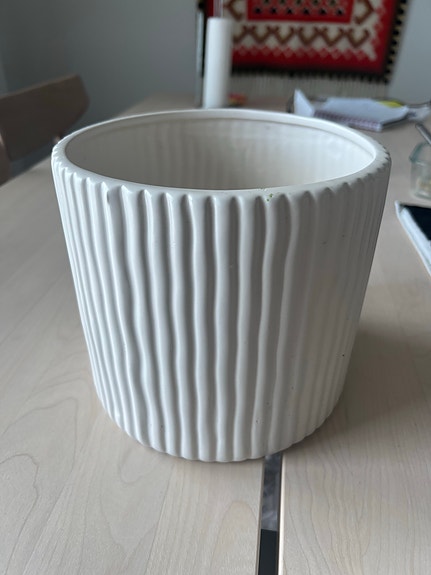 Kukkaruukku / kukkaruukun suoja