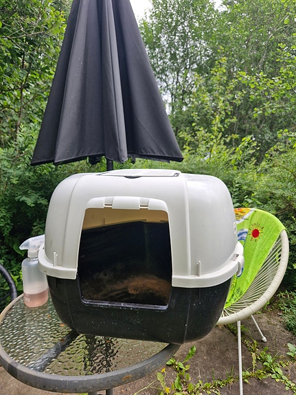 Kissan hiekkalaatikko