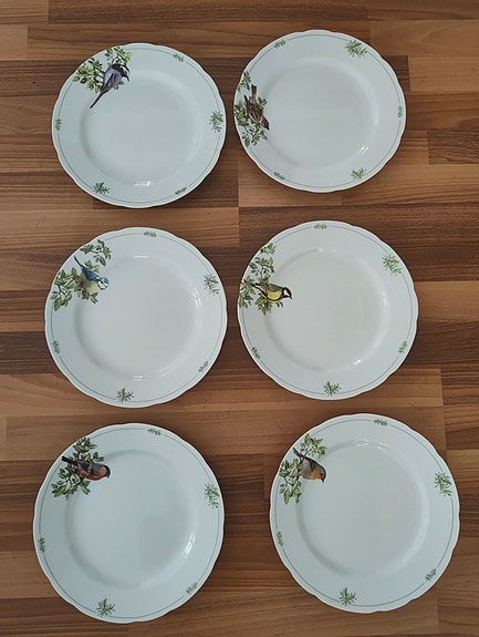 Apilanlehti classic lintuastiasto