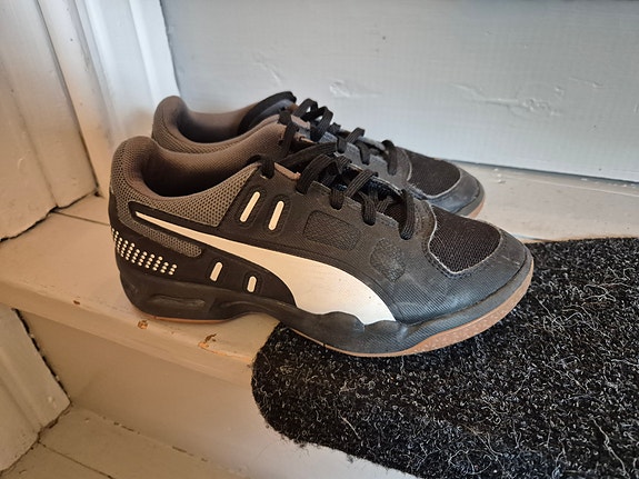 Puma sisäpelikengät 34