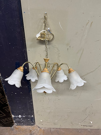 Viisihaarainen kattovalaisin