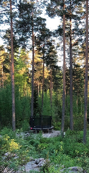 D-Sport Pro Series trampoliini 426 cm turvaverkolla