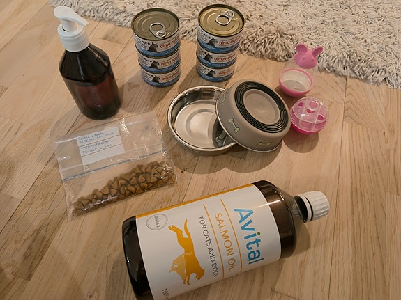 Kissan tarvikkeita