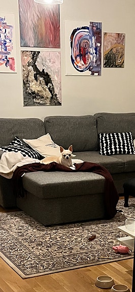 VARATTU Annetaan Askon levitettävä divaanisohva