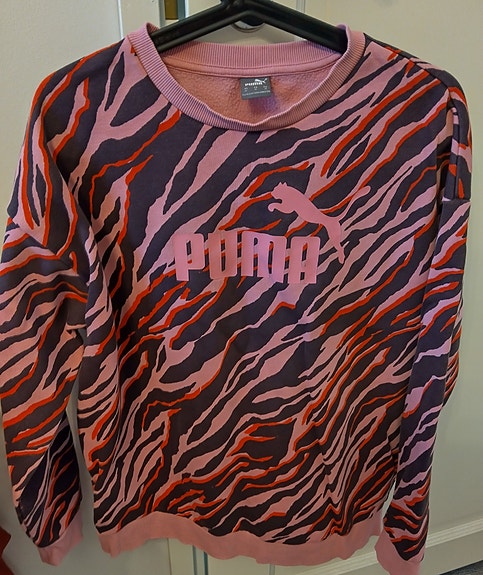 Puma college