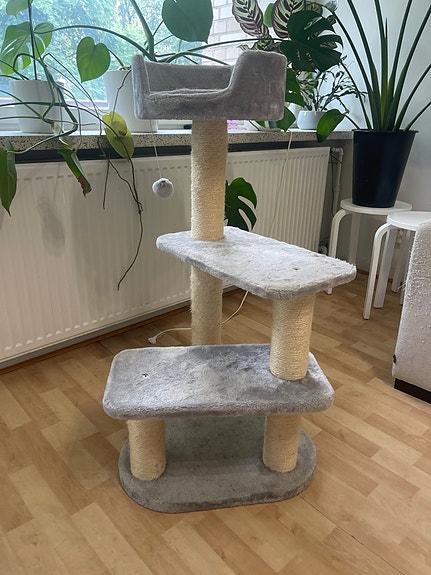Harmaa kiipeilypuu kissalle