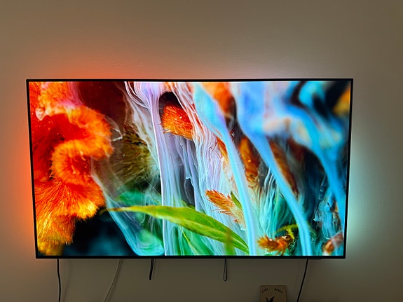 Philips 55" OLED805 4K UHD Smart TV (55OLED805/12)
