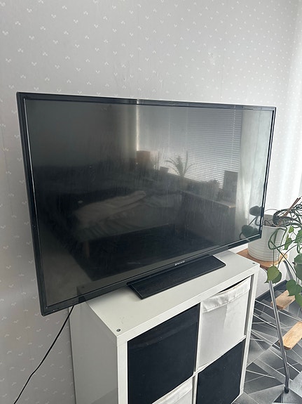 Procaster TV