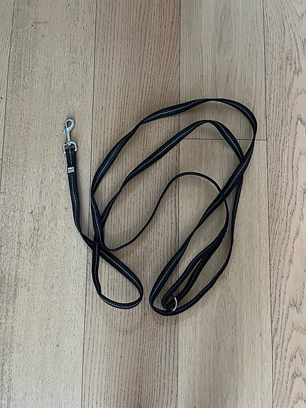 Pro Dog Grip koiran talutin 3m
