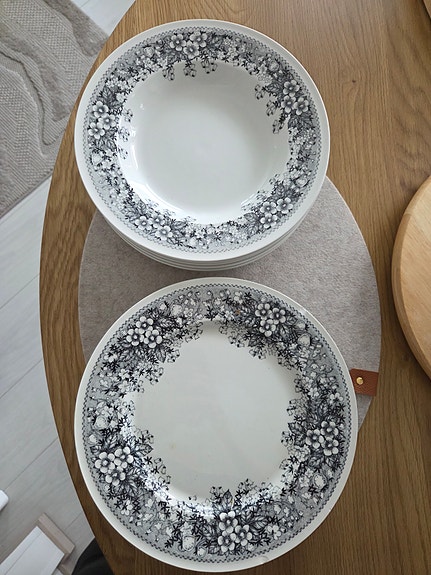 Arabia talvikki lautaset 5+6
