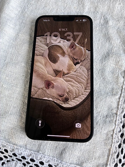 Iphone 16e