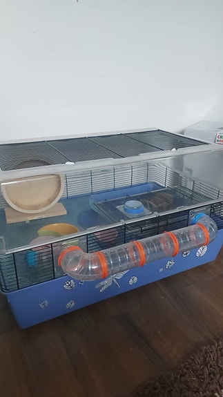 Hamsterin häkki putkilla ja tarvikkeilla