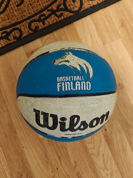 Susijengi koripallo