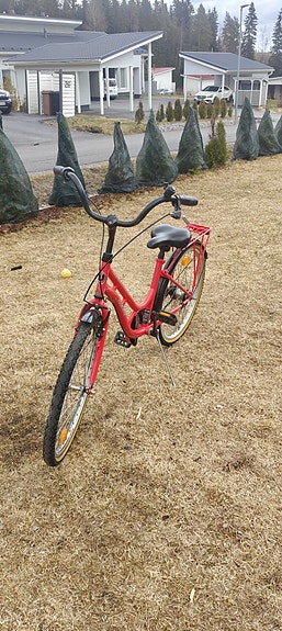 yosemite classic 24"