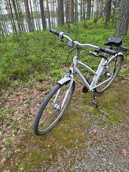 Tunturi Aura naisten polkupyörä 28 "  7 vaihdetta