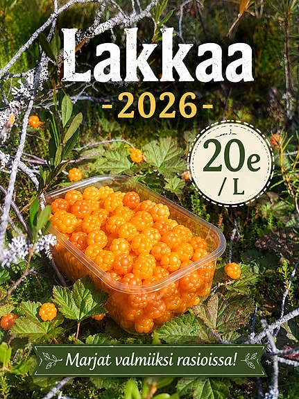 Lakkaa / Kuopio-seutu