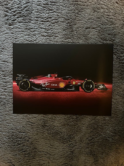 Displate taulu koko M 45x32cm