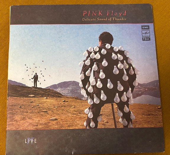 Pink Floyd - Delicate Sound of Thunder LP/vinyyli/vinyl