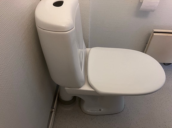 Valkoinen wc-istuin