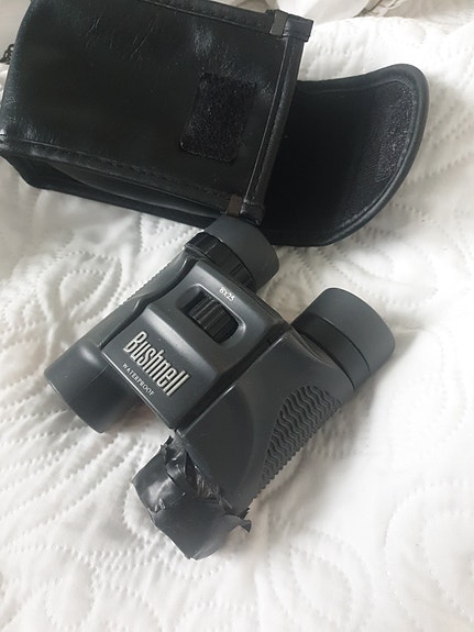 Bushnell 8x25 kiikarit - vain toinen puoli toimii