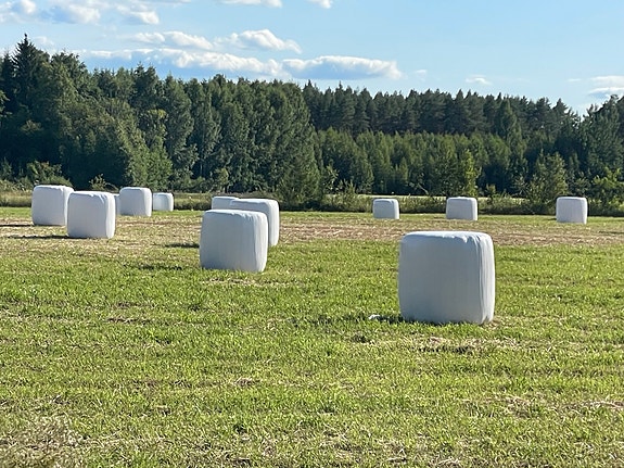 Kuivaheinää pyöröpaaleissa