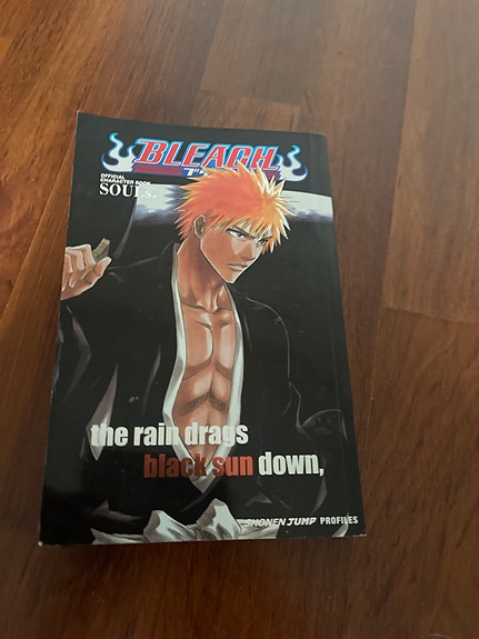 Bleach SOULs character book englanninkielinen manga