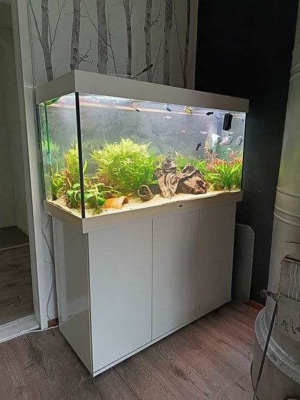 Juwel Rio Led 350