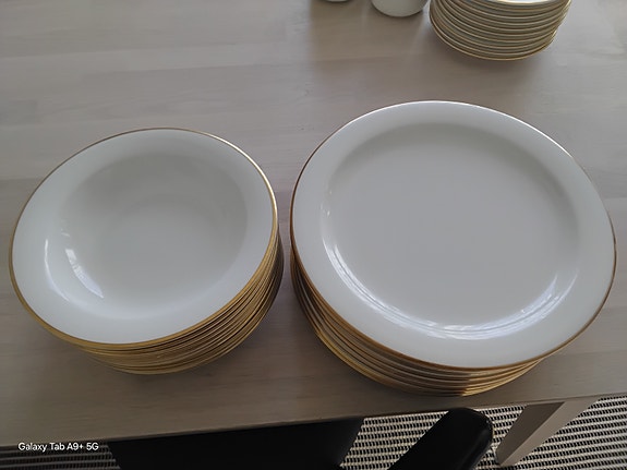 Arabia Arctica Gold lautaset