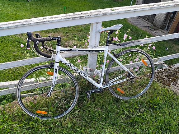 FELT Z95