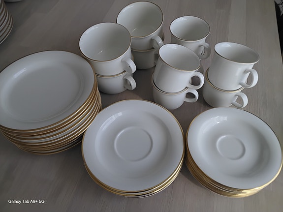 Arabia Arctica Gold