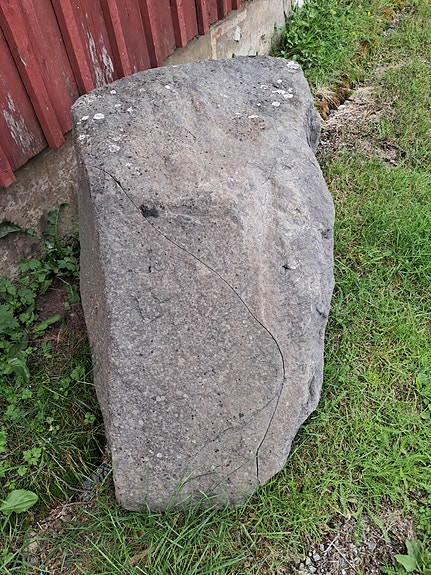 Kivi