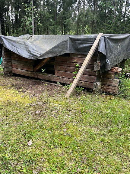 Vanhoja hirsiä
