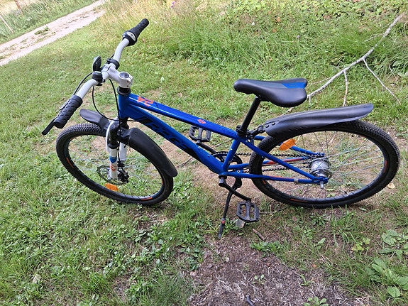 Madison Rage 24