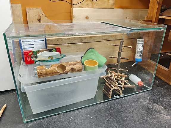 Terraario