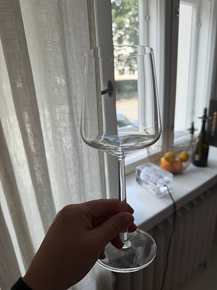 Iittala Essence punaviinilasi