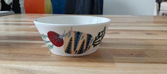 Iittala Taika Sato kulho 0,3l