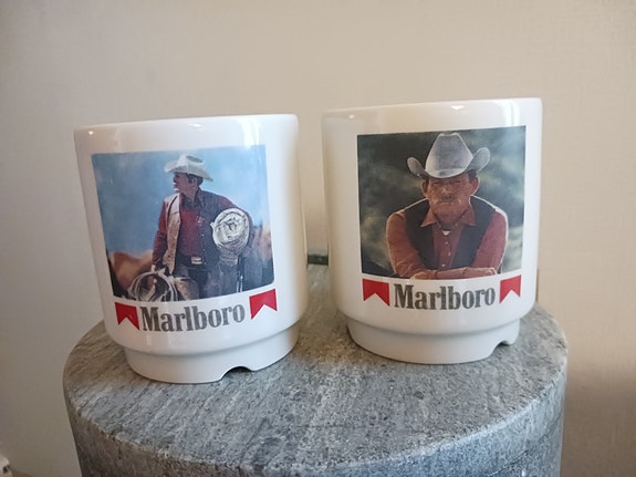 Marlboro Arabia Kesti